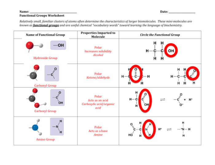 Functional group identification worksheet answers