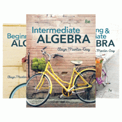 Beginning and intermediate algebra 7th edition